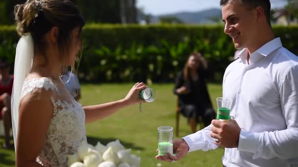 Mariée Marié Tenir Une Cérémonie Sable Mariage — Video