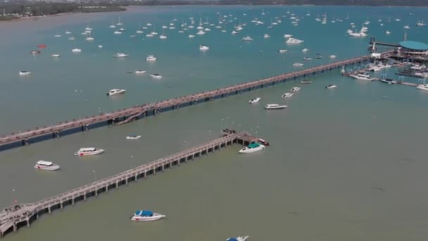 Yate Marina Fotografía Aérea Muelle Océano — Vídeo de stock