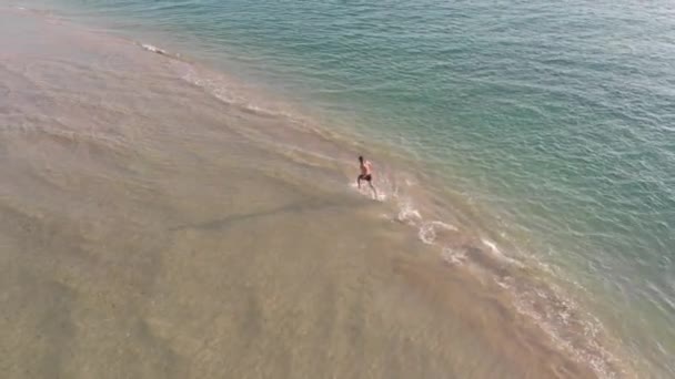空中シュート スポーツの男は海の間の砂の薄いストライプの上を走る — ストック動画