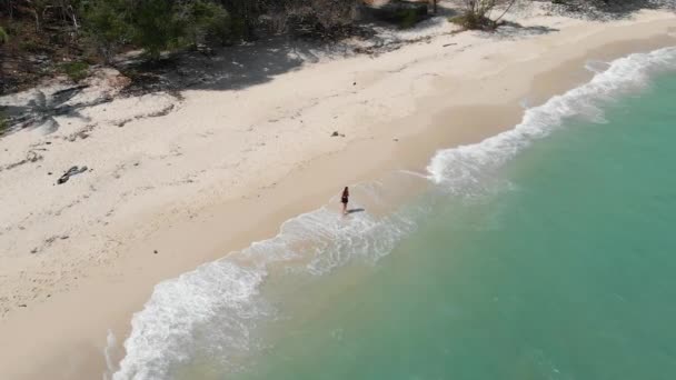 Menina Corre Longo Uma Praia Larga Junto Oceano — Vídeo de Stock