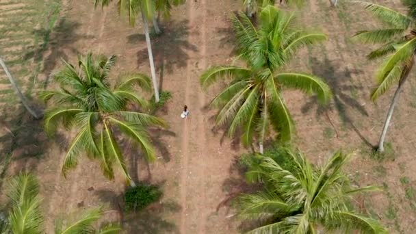 女孩在白色运行沿路之间的棕榈树林 — 图库视频影像