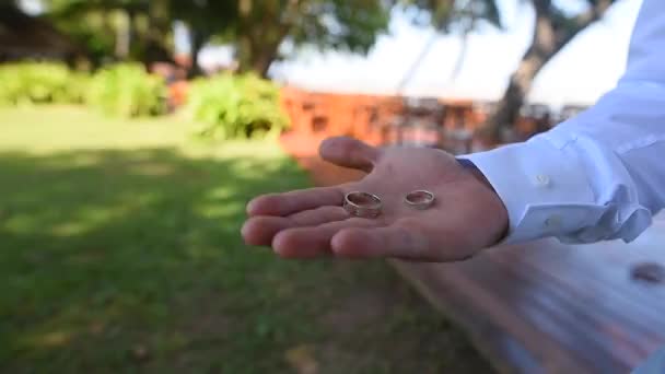 Novio sostiene en sus anillos de boda de la mano sobre un fondo de césped verde — Vídeos de Stock