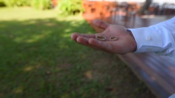 Novio sostiene en sus anillos de boda de la mano sobre un fondo de césped verde — Vídeos de Stock