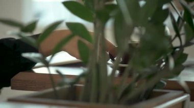 Kız bir kafede oturur ve kahve içer.