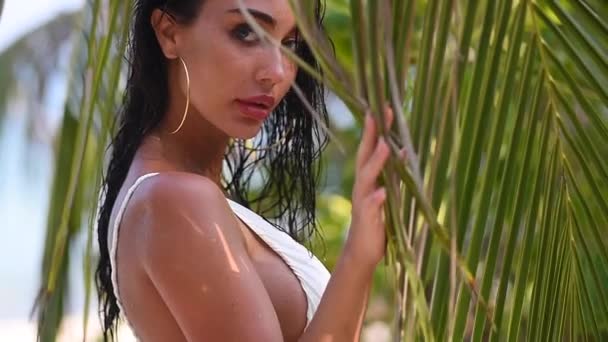 Girl White Swimsuit Stands Sheet Palm Watches Sexually — Stock Video