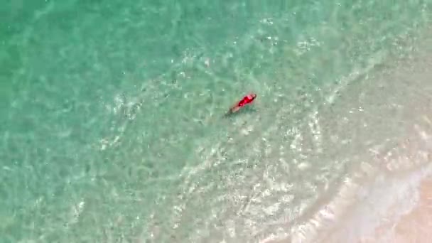 あの子はきれいな透明水で泳いでる空中 — ストック動画