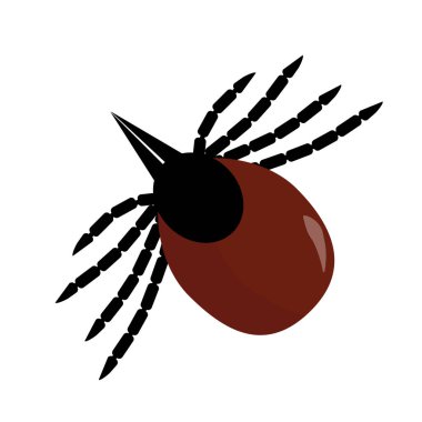 Tick parasite. Sketch of Tick. Mite. Tick on white background.Vector illustration clipart