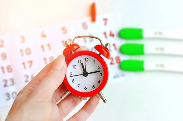 Young Woman Hand Holding Red Clock Ovulation Test Strip Calendar — Stock Photo, Image