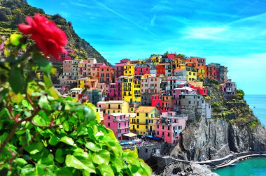 Gül desenli Manarola şehrin güzel manzara beş ünlü renkli köyleri, Cinque Terre Milli Parkı İtalya, deniz ve kara üzerinde dik kayalıklarla arasında askıya biridir. Liguria bölgesinin İtalya, Europe.
