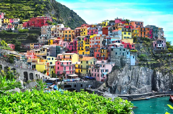 Gül desenli Manarola şehrin güzel manzara beş ünlü renkli köyleri, Cinque Terre Milli Parkı İtalya, deniz ve kara üzerinde dik kayalıklarla arasında askıya biridir. Liguria bölgesinin İtalya, Europe.