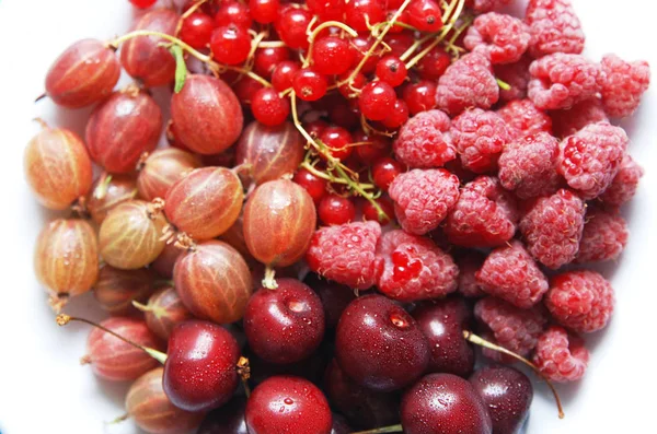 Piatto Frutta Ribes Lampone Uva Spina Ciliegie — Foto Stock