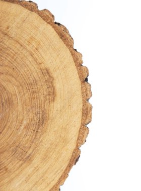 Beyaz arka plan üzerinde ağaç'ın Bölüm.