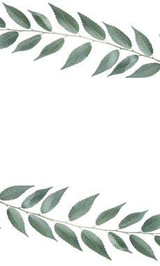 Şube bir boşaltmak beyaz zemin üzerine..