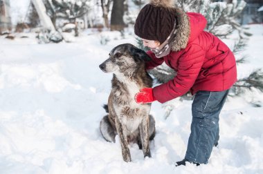 Küçük şirin kız köpeğini açık oynar.