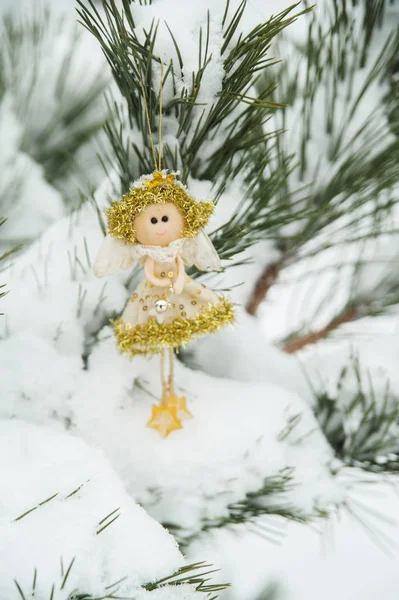 Christmas Decoration Pine — Stock Photo, Image