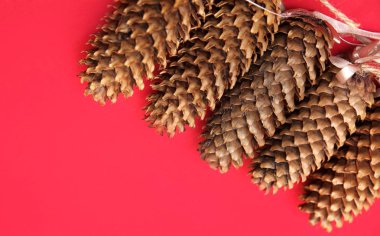Pinecones Noel kırmızı zemin üzerine.