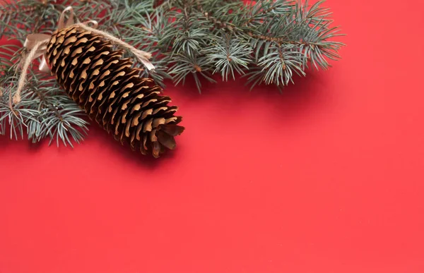 Kırmızı zemin çam'ın dallarda.