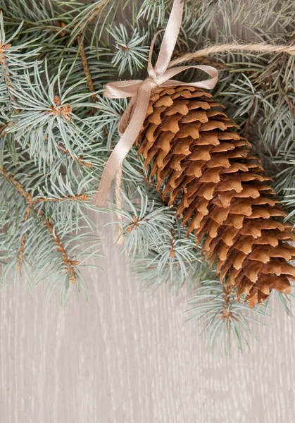 Pinecones ve çam'ın dalları ahşap arka plan üzerinde.