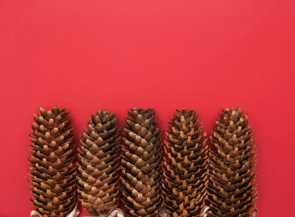 Pinecones Sobre Fondo Rojo Navidad —  Fotos de Stock