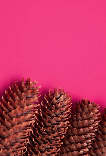 Pinecones Sobre Fondo Rojo Navidad —  Fotos de Stock