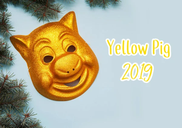 Mask of yellow pig. Symbol of 2019.