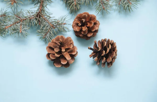 Pinecones Sobre Fondo Azul Navidad —  Fotos de Stock