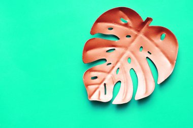 Son moda renk arka plan üzerinde palmiye yaprağı.