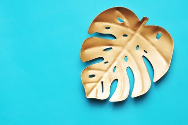 Son moda renk arka plan üzerinde palmiye yaprağı.