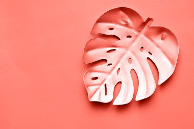 Mercan içinde renkli palmiye yaprağı.