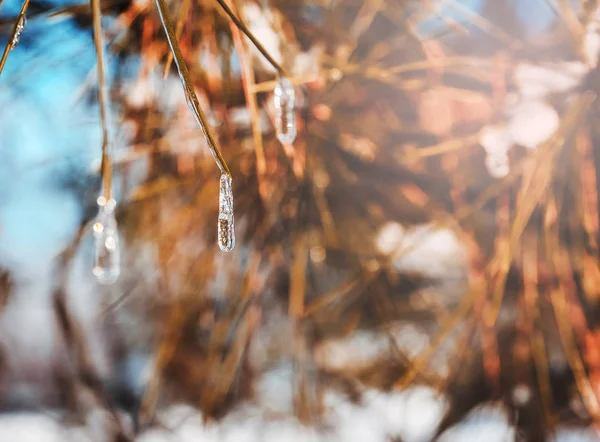 解凍の繰り返しは氷と雪 こんにちは春 — ストック写真
