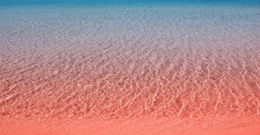 Güzel degrade yaşam mercan Denizi'nde sesi ve mavi renk.