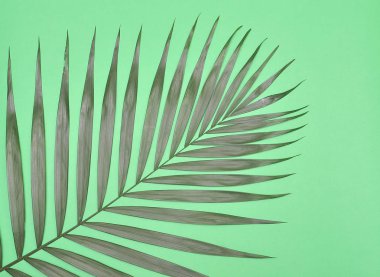 Renkli arka plan üzerinde palmiye ağacı.