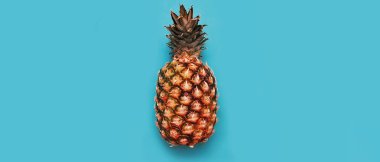 Renkli arkaplanda ananas.