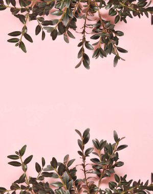 Yeşil, pembe arka plan şubeleri.