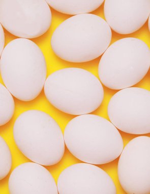 Sarı arka planda tavuk yumurtası.