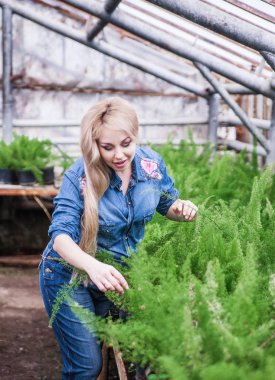 Sera çalışan hamile kadın.