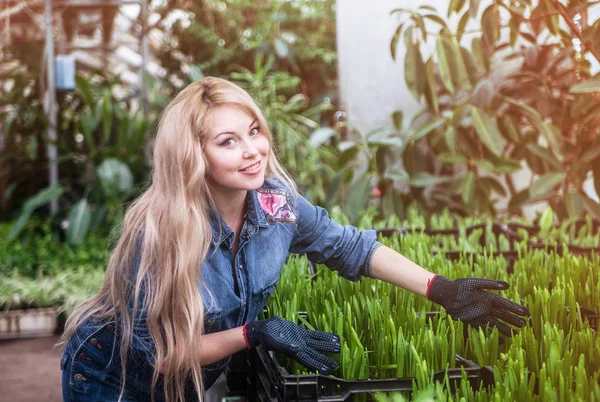 Donna Incinta Che Lavora Serra — Foto Stock