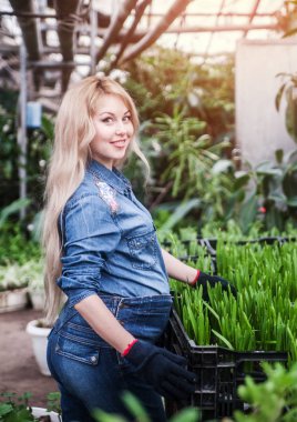 Hamile kadın sera çalışıyor.