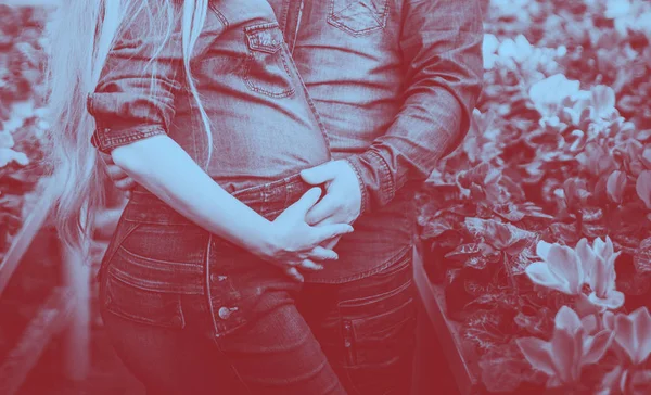 Zwangere Vrouw Met Haar Echtgenoot Broeikasgassen — Stockfoto