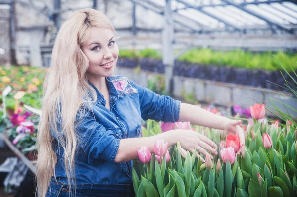 Embarazada Hermosa Mujer Trabaja Invernadero Con Flores —  Fotos de Stock