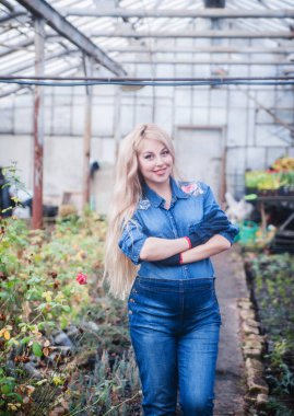 Sera çiçek ile çalışan hamile kadın.