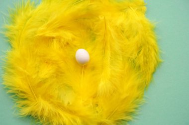 Tüy'nın yuva küçük bir yumurta ile.