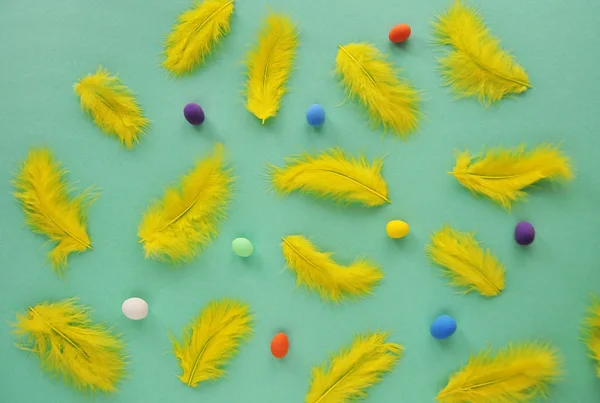 Feather Nest Little Eggs — Stock Photo, Image