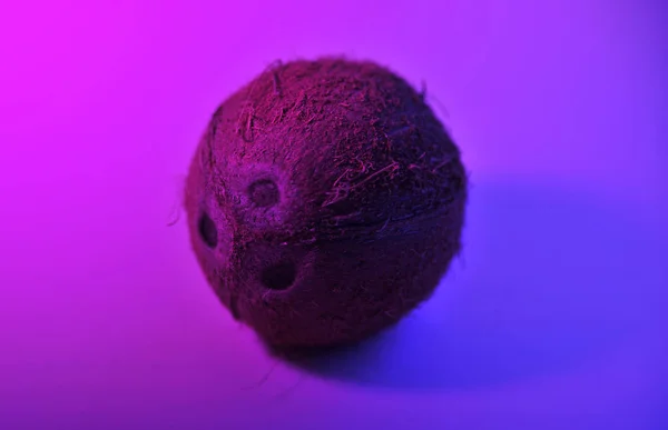 Кокос Фоні Кольору Пурпурного Фото Зроблене Дуетом — стокове фото