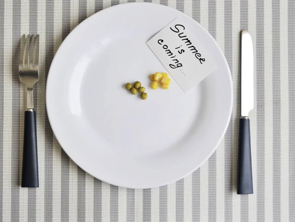 Conceptual Image Diet Theme Plate Some Food — Stock Photo, Image