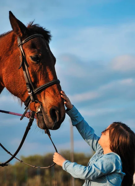 Beautiful Girl Horse Outdoors — Stock Photo, Image