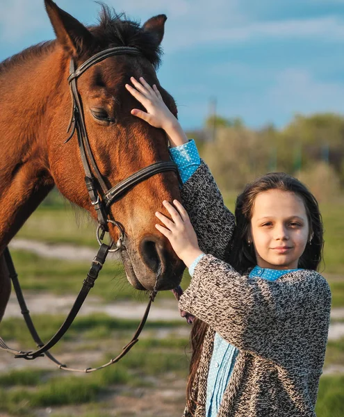 Портрет Девушки Лошади Открытом Воздухе — стоковое фото