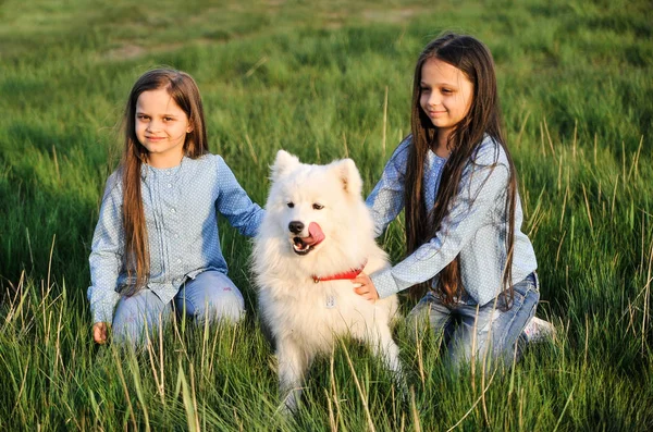 可爱的女孩与狗在草地上 友谊概念 — 图库照片