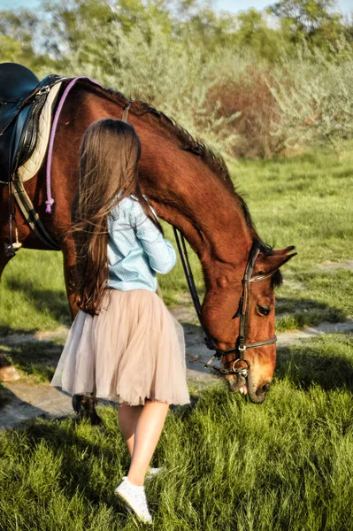 Красивая Девушка Лошадью Имидж Дружбы — стоковое фото