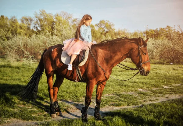 Bella Ragazza Con Cavallo Sull Erba Amicizia Concetto — Foto Stock